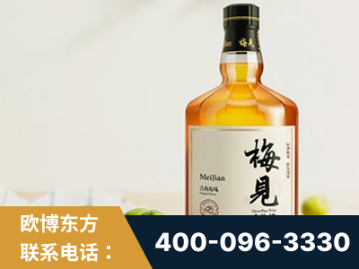 渭南-梅见青梅酒